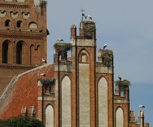   Lwowiec nazywany jest bocianią wioską. Wyjątkowa wieś w woj. warmińsko-mazurskim