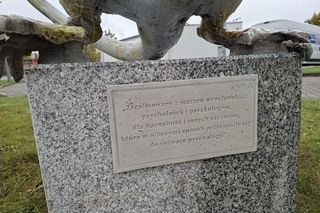 Nie krasnal, a szczur. Wrocław ma nowy, zaskakujący pomnik z ważnym przesłaniem