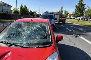 Horror na drodze. Jej rower pękł na pół! Potworny wypadek w Wyszkowie 