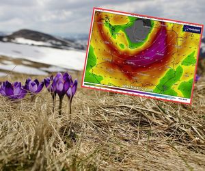 Takich anomalii w pogodzie nie było od lat! Pogoda na luty w Polsce jak w kwietniu. Wszystko rozkwitnie