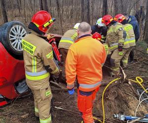 Śmiertelny wypadek pod Sandomierzem! Audi przygniecione przez drzewo. 35-latek nie żyje [ZDJĘCIA].