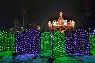 X Królewski Festiwal Światła