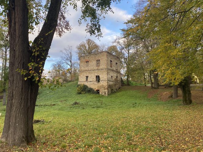 Zamek w Dąbrówce Starzeńskiej