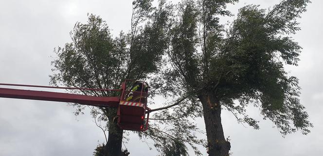 Straszna wichura przeszła przez Dolny Śląsk. Wciąż wieje!