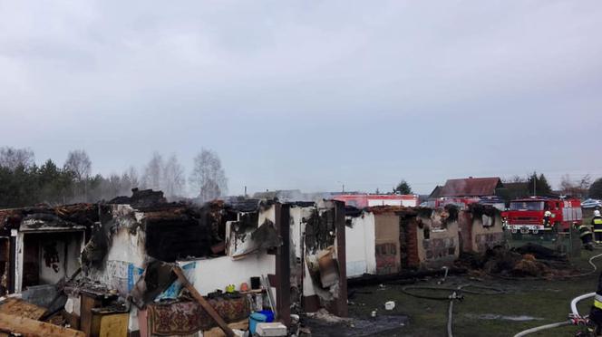 OGROMNY pożar w powiecie świeckim! Jedna osoba poszkodowana