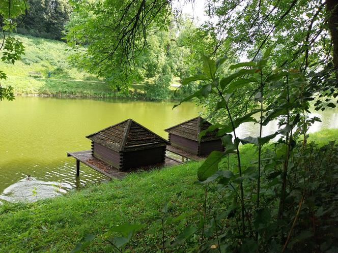 Lato w Parku miejskim w Zamościu 