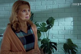 M jak miłość, odc. 1484. Krystyna Banach (Dorota Chotecka-Pazura)
