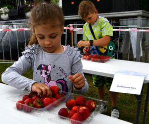 Dzień Świętokrzyskiej Truskawki w gminie Bieliny