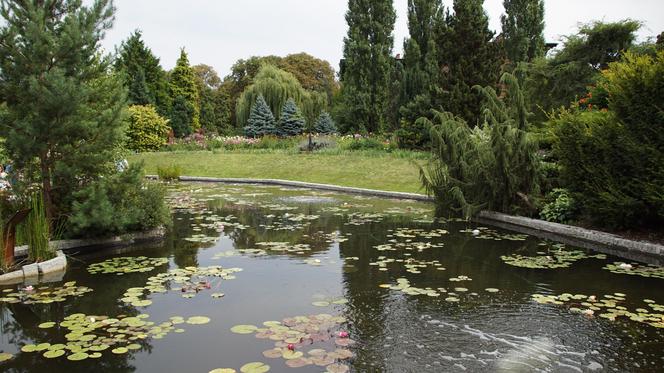 To jeden z najpiękniejszych ogrodów botanicznych w Polsce. Znajduje się na Dolnym Śląsku 