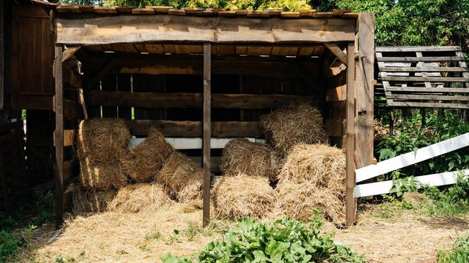 Farma 4: skandaliczne zachowanie w programie! Skończy się dyskwalifikacją?