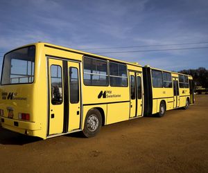 Ikarus wkrótce wyjedzie na śląskie drogi