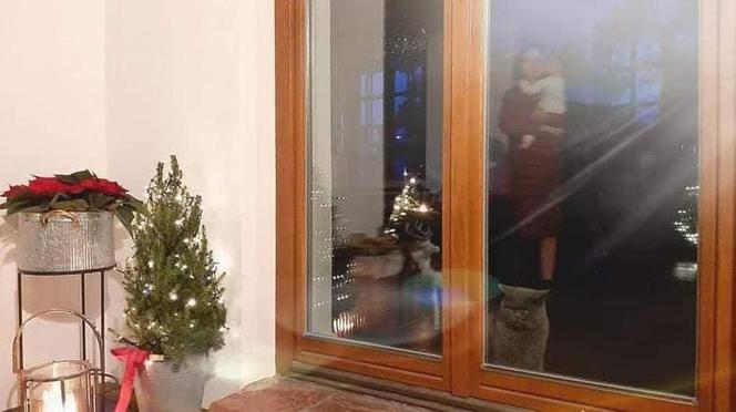 Tak Joanna Kurska z maleństwem przygotowuje się do świąt