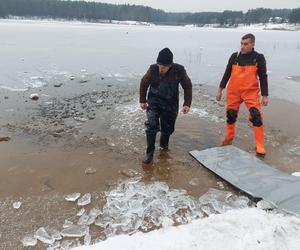 Zarybianie starachowickiej Lubianki. Do zalewu wpuszczono kilogramy narybku