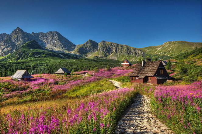 Zakopane