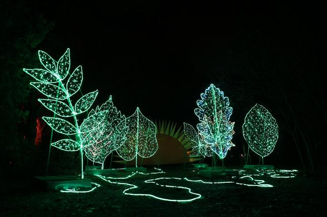 „Historia światła” po raz ostatni. Park iluminacji w Lublinie kończy sezon