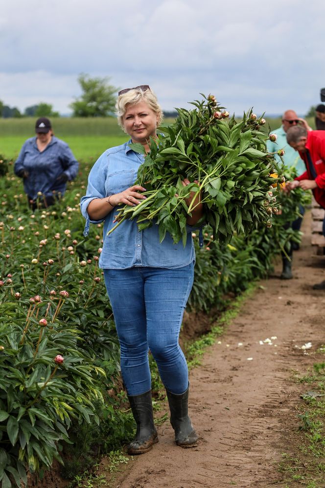 Królewskie kwiaty z Brzozia podbijają świat