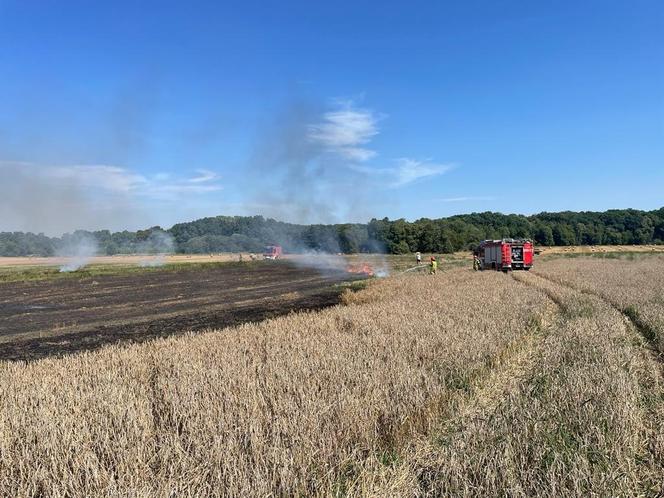 Dwa pożary zboża oraz rżyska w powiecie braniewskim