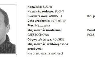 Rejestr Przestępców Seksualnych z województwa śląskiego [ZDJĘCIA]