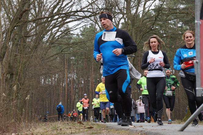 Rekordowy bieg City Trail w bydgoskim Myślęcinku [ZDJĘCIA]