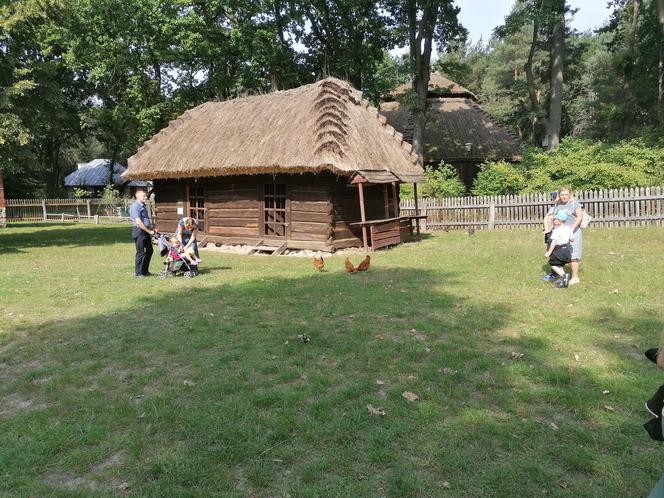 Warsztaty ludowej wycinanki w radomskim skansenie