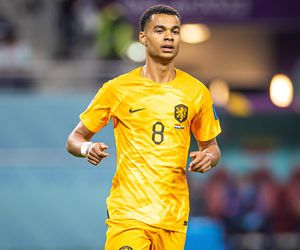 Cody Gakpo - gwiazda Holandii