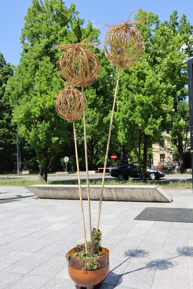 Weekend z florystyką w Lublinie. Zobacz imponujące roślinne instalacje w centrum miasta!