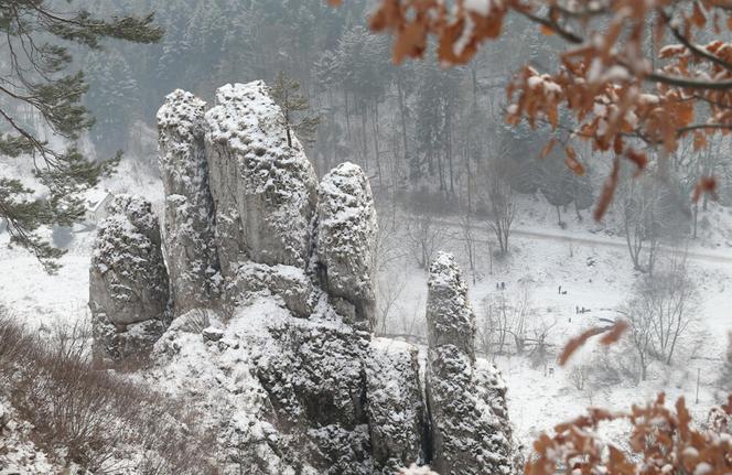 Jura Krakowsko-Częstochowska