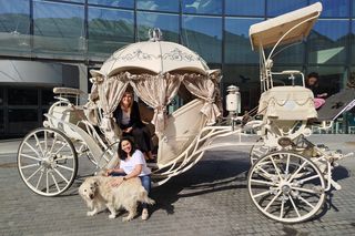 Wydarzenie pod hasłem My Siedlczanki odwiedziły setki, jeśli nie tysiące osób.