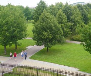Park Zdrojowy w Busku