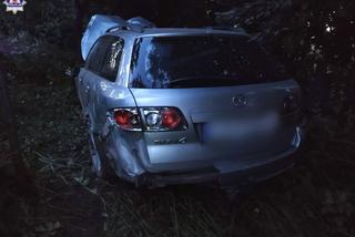 Lubelskie: Obudził go huk. Pijany nie złapał się płotu, tylko od razu w niego wjechał [GALERIA] 