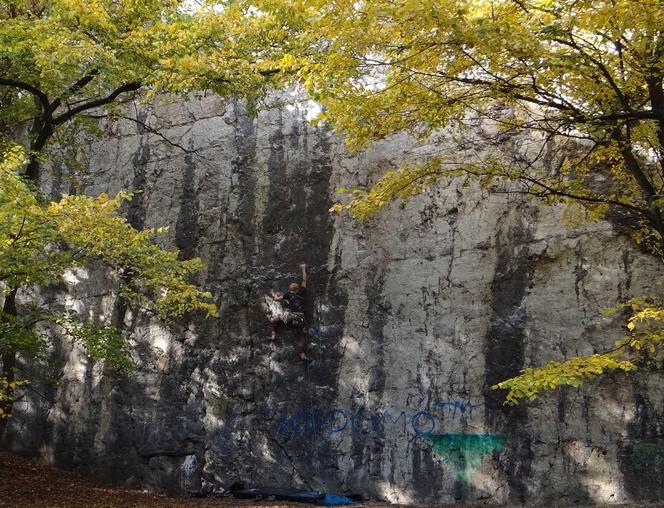 Mur skalny "Esteci" w dawnym kamieniołomie pod św. Benedyktem na Krzemionkach Podgórskich w Krakowie