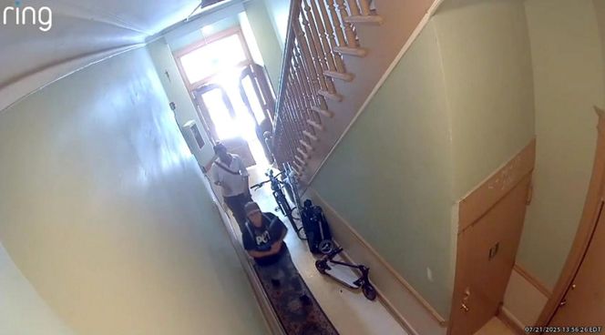 Polka oskarża PETA o kradzież psa