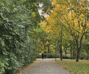 Krypta odkryta podczas rewitalizacji parku w Bydgoszczy. „Nie będziemy w żaden sposób ingerować”