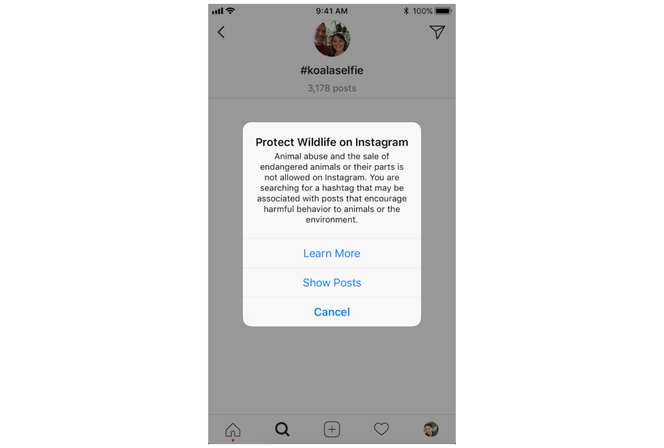 Instagram cenzuruje zdjęcia ze zwierzętami