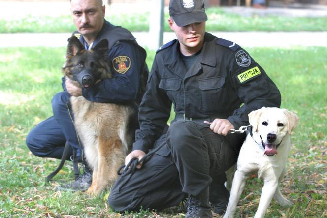 Pies policyjny