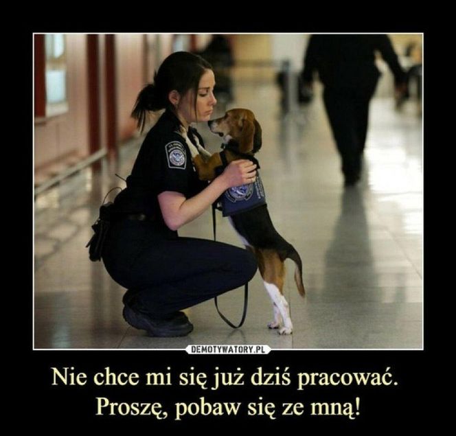 Memy o POLICJI