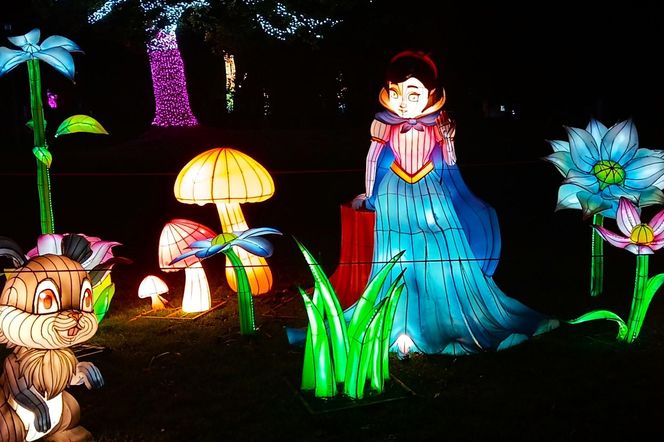 Garden of Lights w Szczecinie