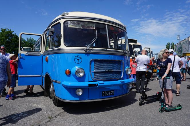 Zlot zabytkowych autobusów 2022 w Bydgoszczy [ZDJĘCIA] 