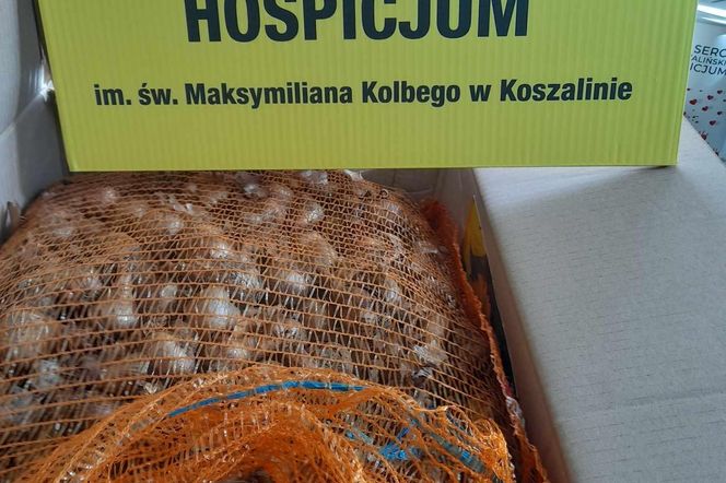 Hospicjum św M. Kolbego w Koszalinie przygotowuje „Pola nadziei” 