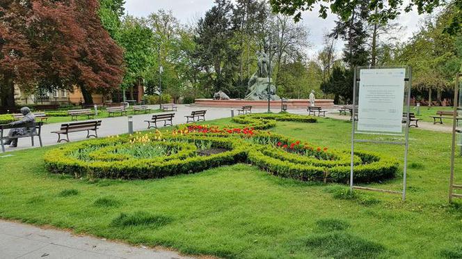 Bydgoszcz walczy z suszą. Miasto kosi tylko tam, gdzie trzeba