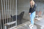 „Wszystkie psiaki nasze są” w schronisku w Henrykowie koło Leszna