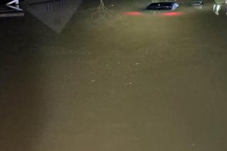 Pędził BMW i wpadł do stawu