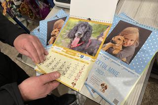 Charytatywne kalendarze dla schroniska dla zwierząt w Nowym Sączu