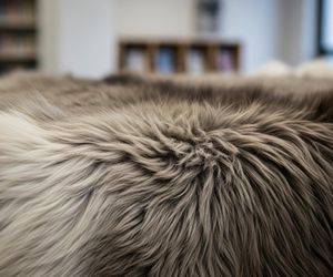 Lekcja przyrody w Gorzowie. Co naprawdę pokazano dzieciom podczas Dnia Zwierząt?