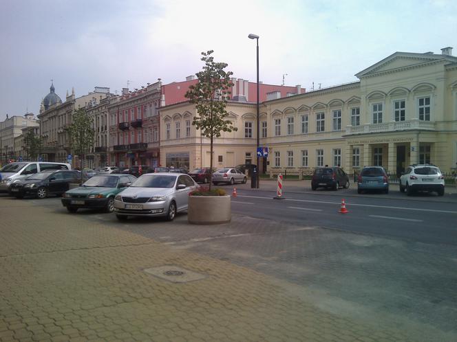 Nowa zieleń w Lublinie