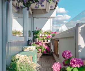Balkon pod koniec lata