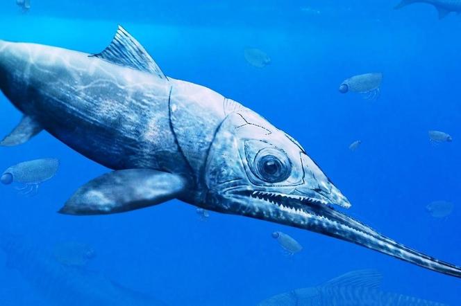 Szczątki drapieżnej ryby w Górach Świętokrzyskich! Pochodzą sprzed 365 milionów lat, odkryli ją polscy naukowcy. Zobacz wideo