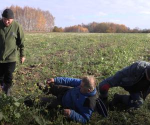 Rolnicy. Podlasie. Gienek próbuje wyciągnąć rzepkę z ziemi. Siłuje się jak w wierszu Tuwima