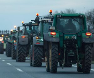 Strajk rolników w Niemczech