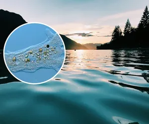 Niebezpieczna ameba grasuje w jeziorach